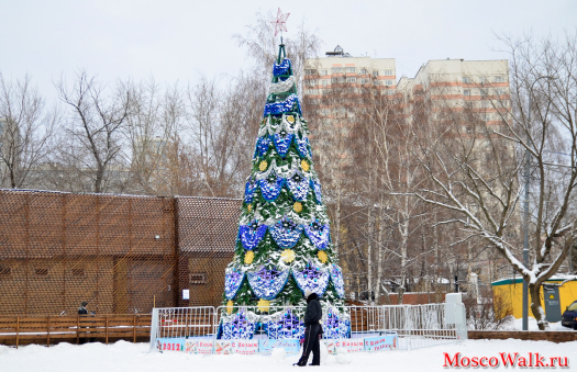 в парке Красная Пресня установили новогоднюю ёлку